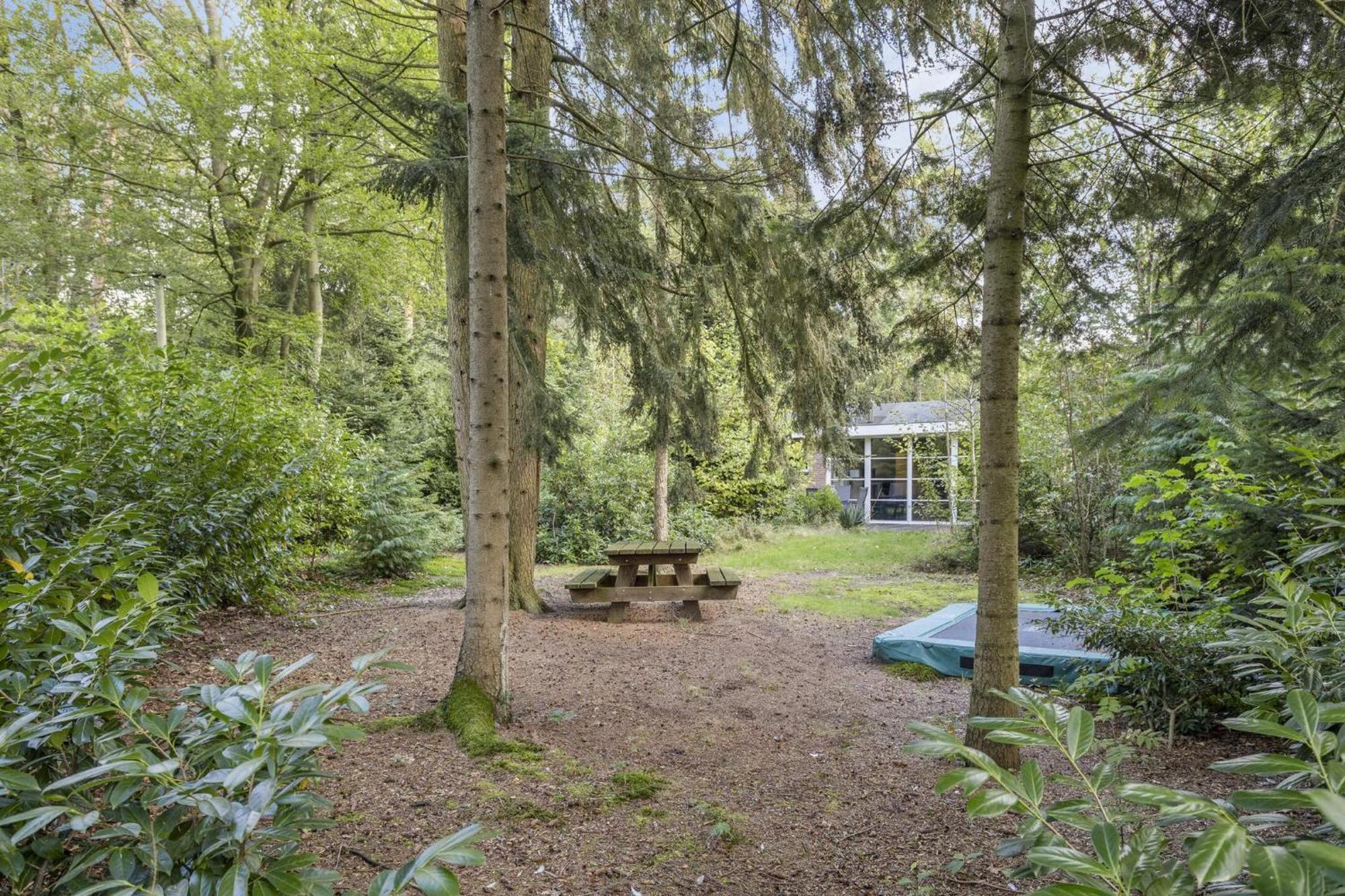 Relaxen In Het Bos Met Privesauna Holten Luaran gambar